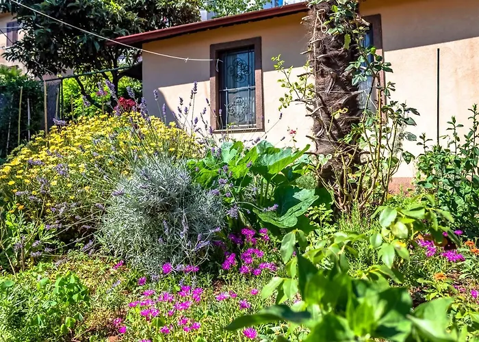 Holiday home Little Garden House *