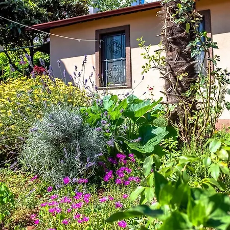 Semesterbostad Little Garden House *