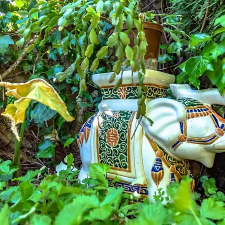 Дом отдыха Little Garden House