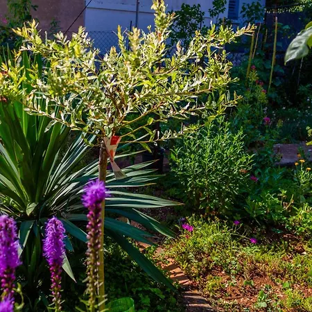 Little Garden House Дом отдыха