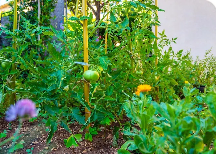 Tatil Evi Little Garden House *